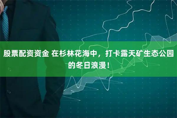 股票配资资金 在杉林花海中，打卡露天矿生态公园的冬日浪漫！