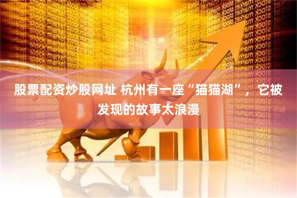股票配资炒股网址 杭州有一座“猫猫湖”，它被发现的故事太浪漫